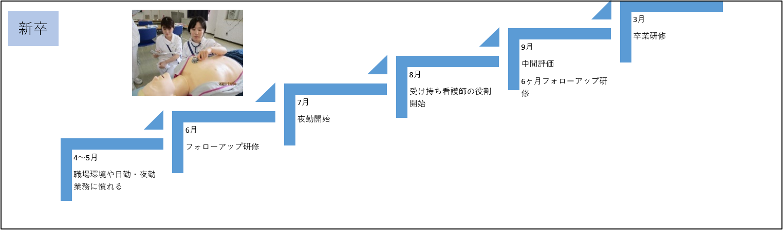 新人キャリアパス