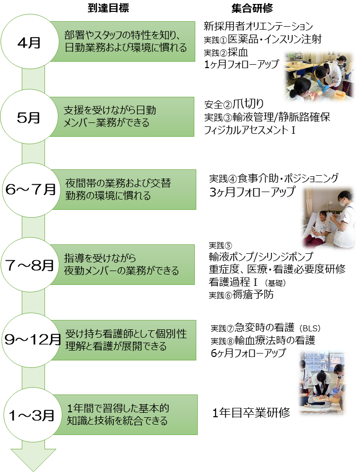 新人キャリアパス